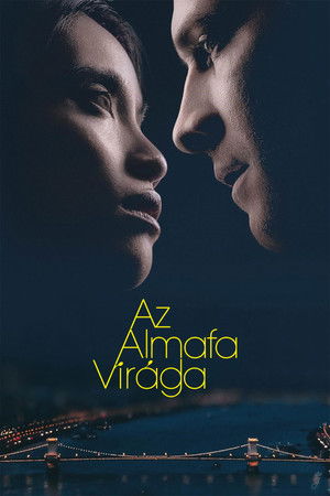 Az almafa virága poszter