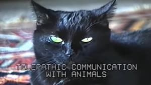 Telepathic Communication With Animals háttérkép