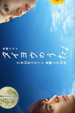 タイヨウのうた poszter
