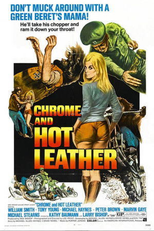 Chrome and Hot Leather poszter
