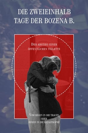 Die zweieinhalb Tage der Bozena B. auch: Der Abstieg einer öffentlichen Toilette vom Regen in die Traufe oder hinein in die Katastrophe