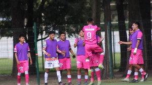 Le rose, le bleu háttérkép