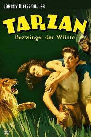 Tarzan és a sivatag titka poszter