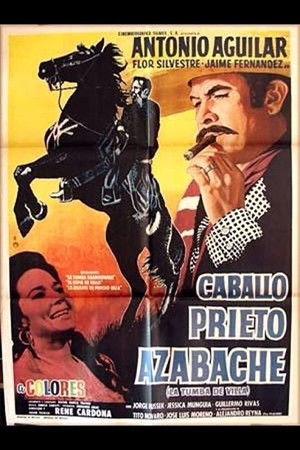 Caballo prieto azabache poszter