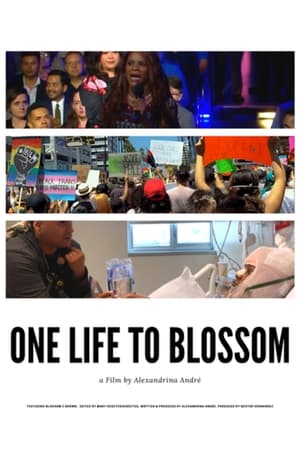 One Life To Blossom poszter