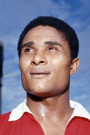 Eusébio profil kép