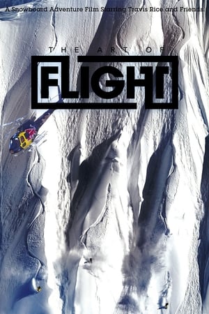 The Art of Flight poszter