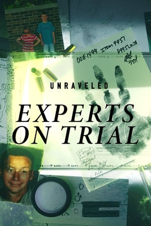 Unraveled: Experts on Trial poszter