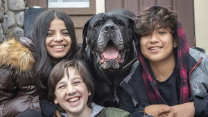 Dog Patrol: Operation Santa Paws háttérkép