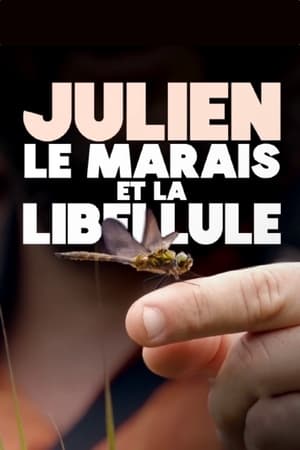 Julien, le marais et la libellule poszter