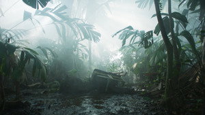 Transamazonia háttérkép
