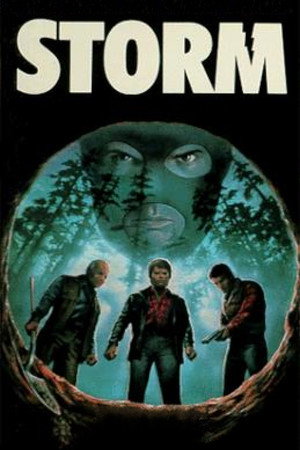 Storm poszter