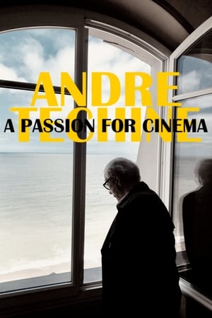 André Téchiné, cinéaste insoumis poszter