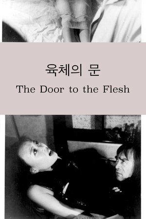 육체의 문