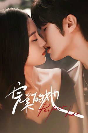 完美的她 poszter