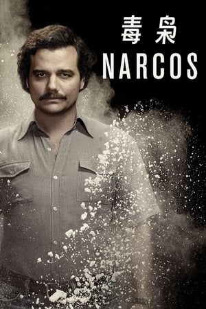 Narcos poszter