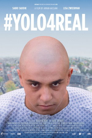 #YOLO4REAL poszter