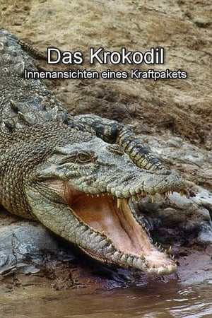 Das Krokodil - Innenansichten eines Kraftpakets