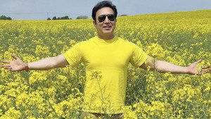 Mustard Fields háttérkép