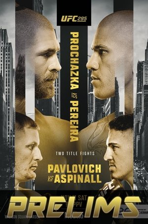 UFC 295: Prochazka vs. Pereira poszter