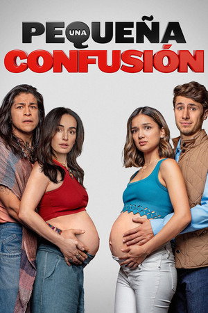 Una pequeña confusión poszter