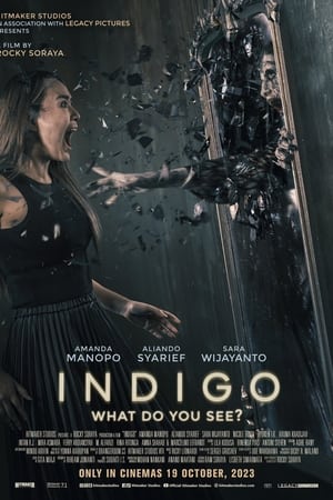 Indigo poszter