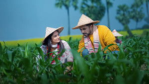 মন দুয়ারী háttérkép