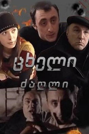 ცხელი ძაღლი poszter