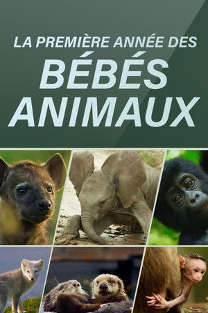 Animal Babies: First Year On Earth poszter
