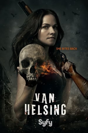 Van Helsing poszter