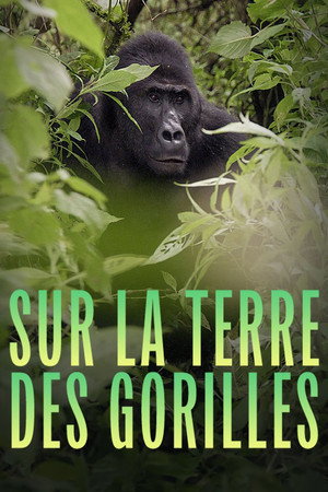 Silverback poszter