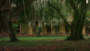 La mansión de Araucaima háttérkép