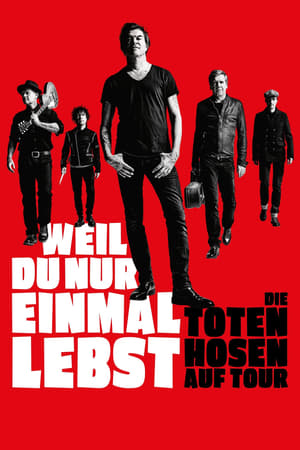 Die Toten Hosen auf Tour - Weil du nur einmal lebst