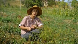 Gardening Australia 32. évad Ep.27 27. epizód