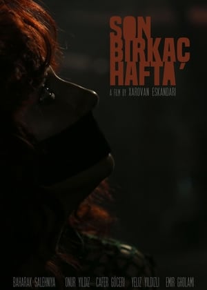 Son Birkaç Hafta