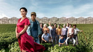 Le temps des framboises kép