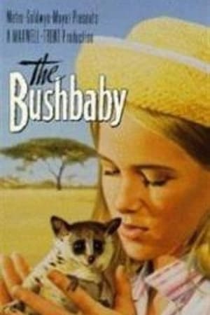 The Bushbaby