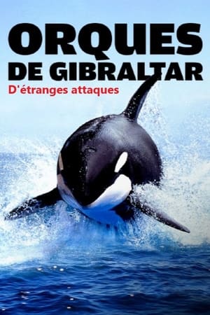 Achtung Orcas! Gefahr vor Gibraltar? poszter