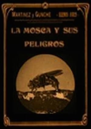 La mosca y sus peligros poszter