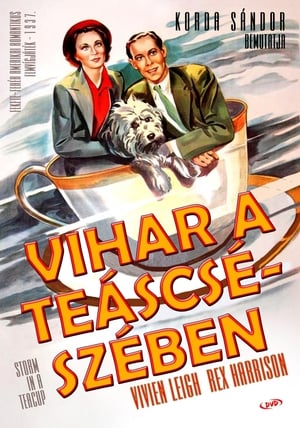 Vihar a teáscsészében