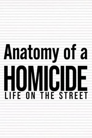 Anatomy of a 'Homicide: Life on the Street' poszter