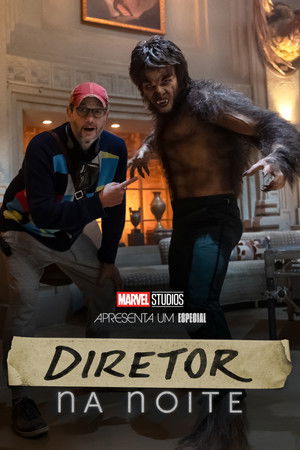 Director by Night poszter