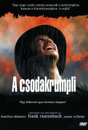 Csodakrumpli