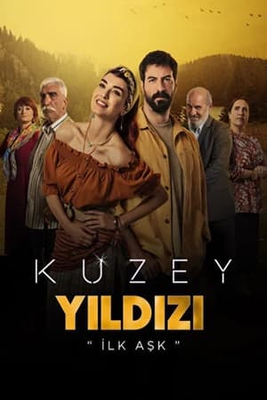 Kuzey Yıldızı: İlk Aşk poszter