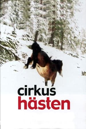 Cirkushästen