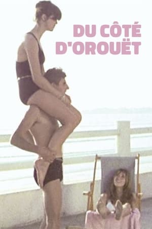 Du côté d'Orouët poszter