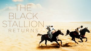 The Black Stallion Returns háttérkép