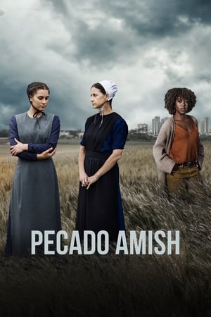 An Amish Sin poszter