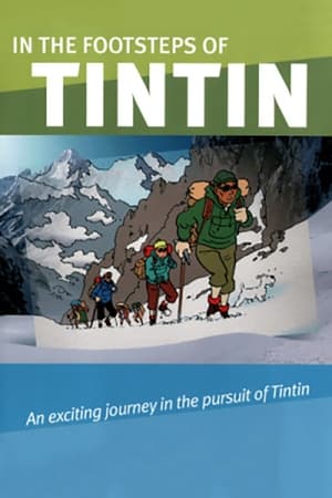 Sur les traces de Tintin poszter