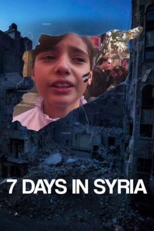 7 Days in Syria poszter